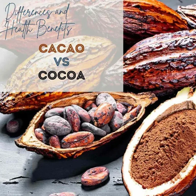 Cacao vs. Cocoa: Unraveling the Differences and Powerful Health Benefits