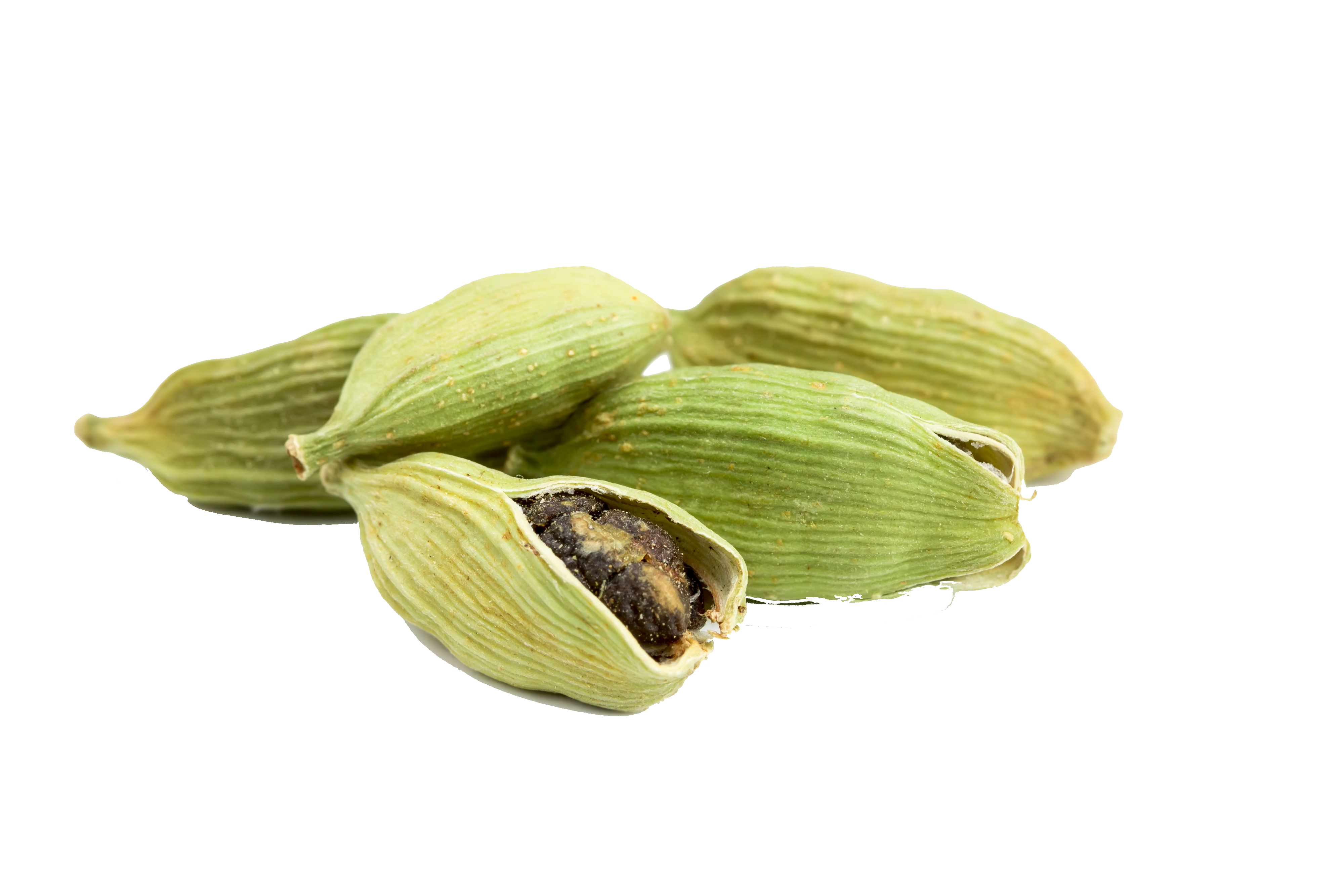 Cardamom