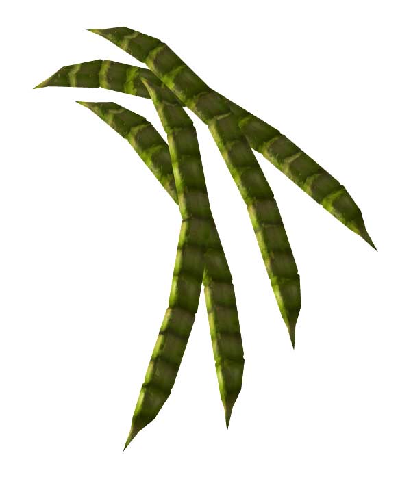Mesquite