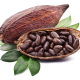 Cacao A Central Ingredient For Chocolate