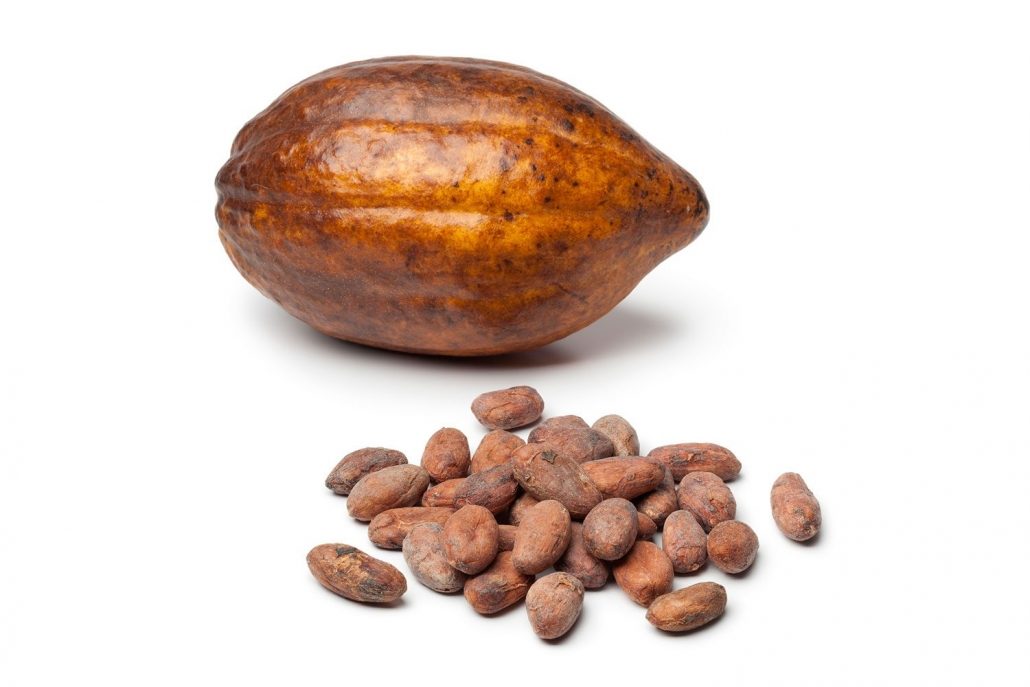 Cacao Pod Size Comparison