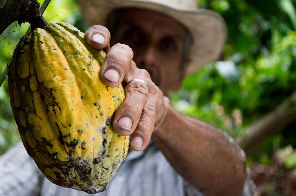 Secrets of Cacao