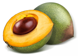 Lucuma Chocolate Ingredient