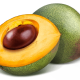 Lucuma Chocolate Ingredient
