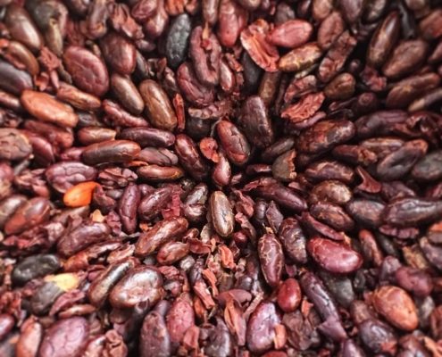 Cacao Seeds