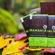 CBD Autumn Stream Mandala Chocolate Bars