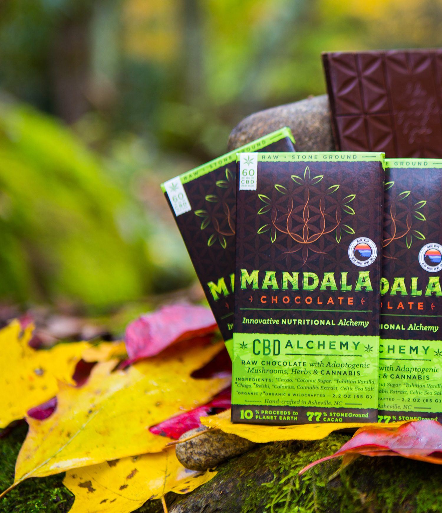 CBD Autumn Stream Mandala Chocolate Bars
