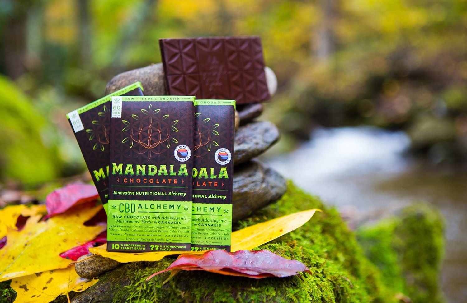 Mandala Chocolate coupons logo