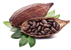 Cacao Chocolate Ingredients